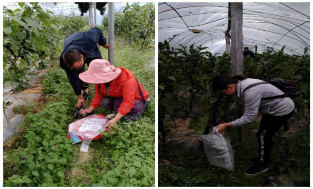 1635755242633081452.png 10001.png