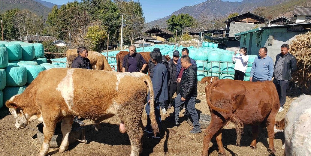 1637572660714004136.jpg 10604.jpg