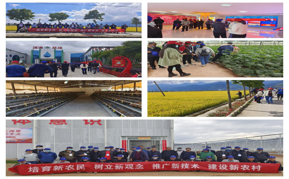 1667377691840076267.png 9501.png