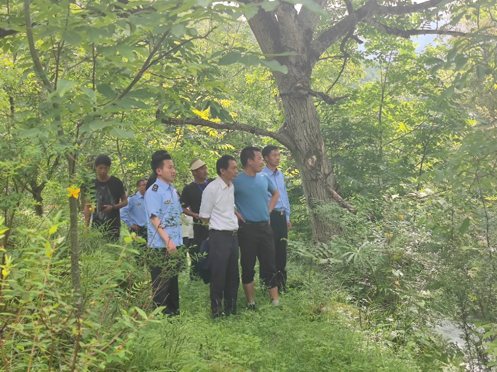 1657248345338001527.jpg e9467cbc87512ac2280dd1f29988fad.jpg