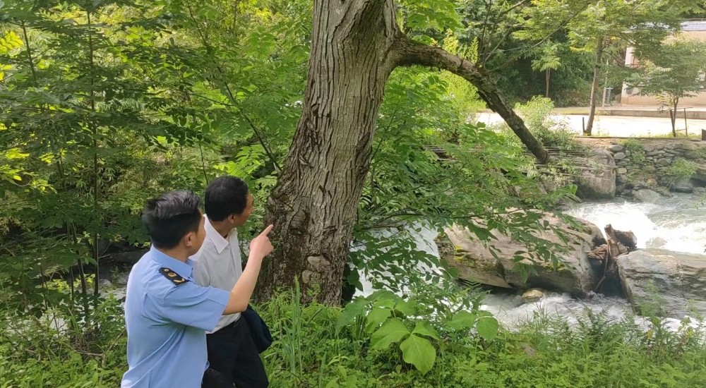 1657248369932027709.jpg 9b05e0c5c234e36cc8a780242df8aea.jpg