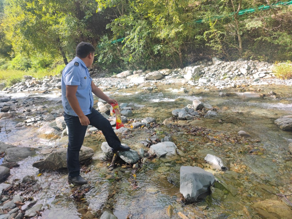 1699239948478025772.jpg 14534e9fa3010c2f98f2fba1d590edc.jpg