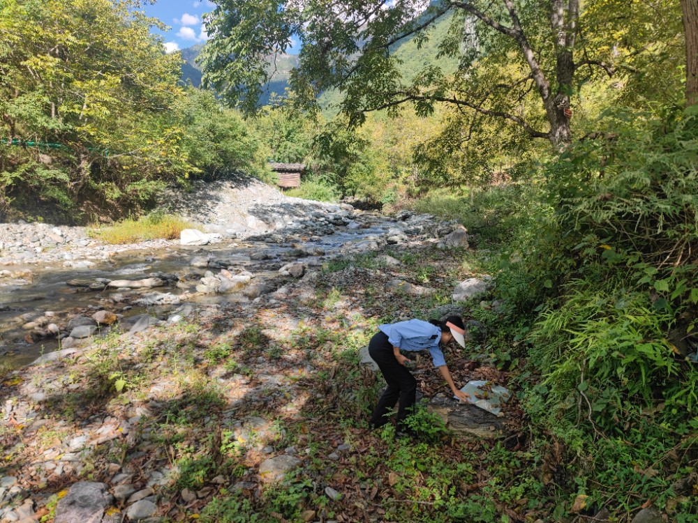 1699239971899020029.jpg 2f2c747b3478b1ce6bf8674b7998ba3.jpg