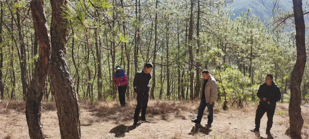 1710819892753025212.png 1710819892753025212.png