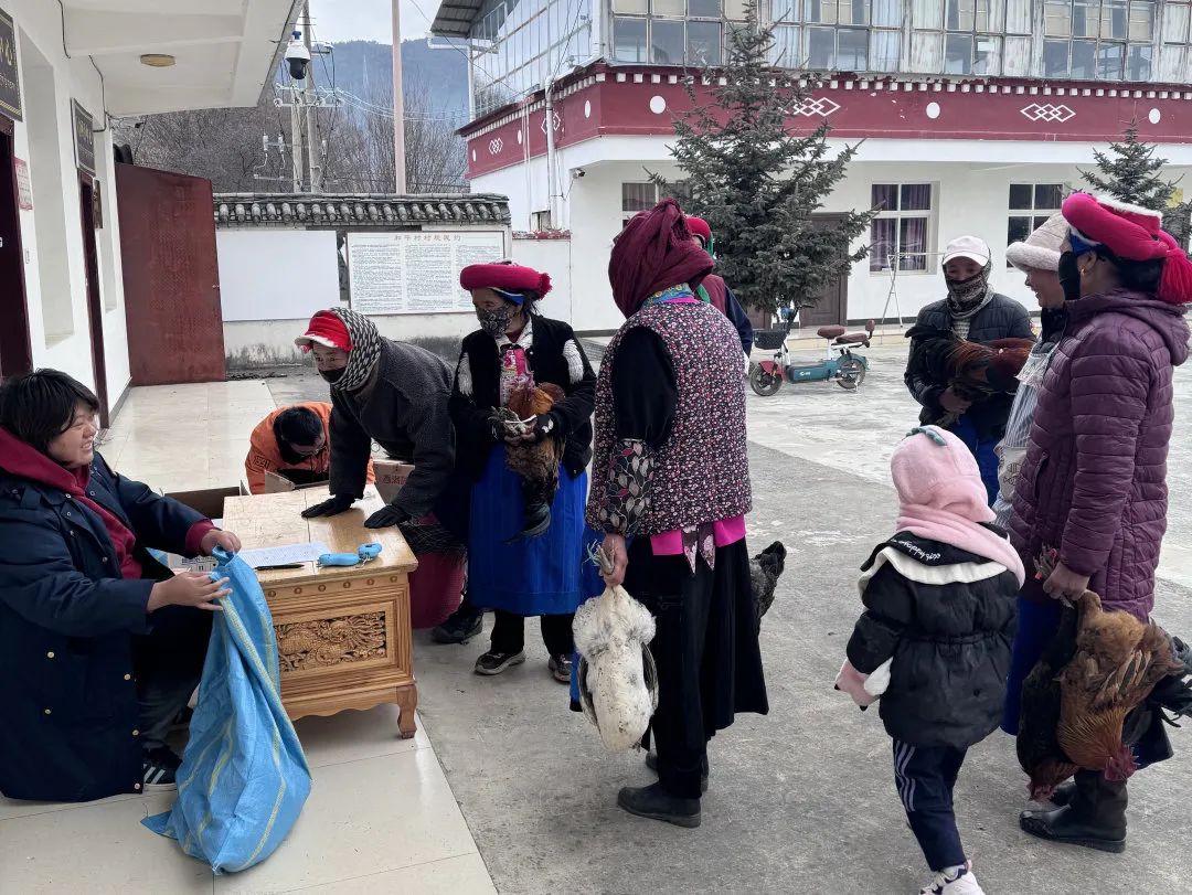 1720078155081072725.jpg 640.jpg