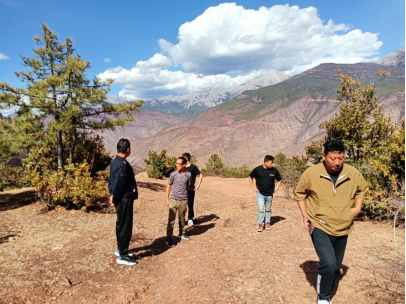 1690339357784045603.png image.png