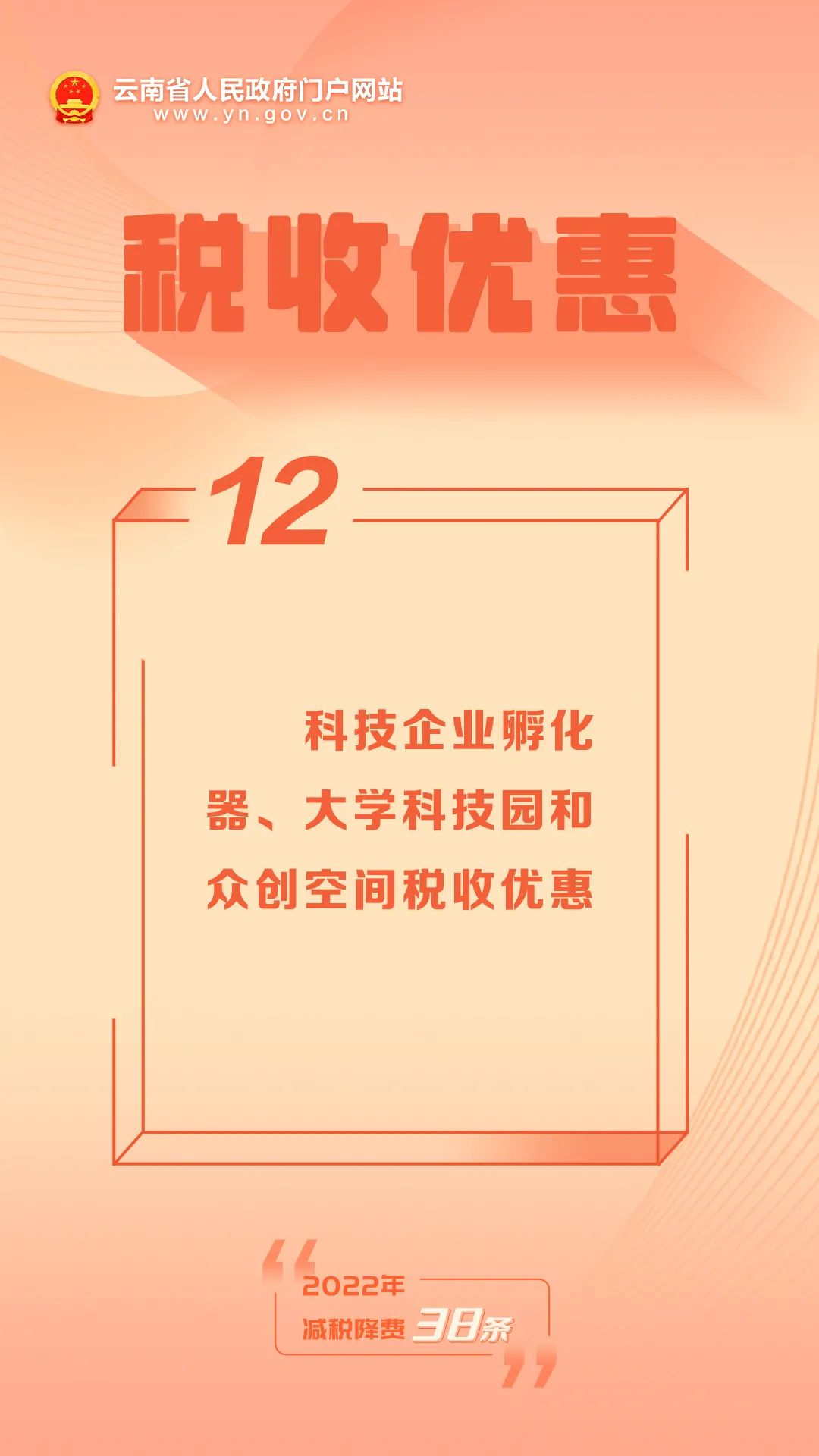 1654745137542061439.jpg 12.jpg