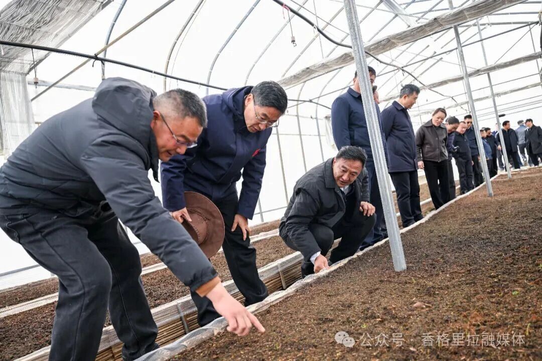 1774233635647064490.jpg 微信图片_2026-03-23_105036_927.jpg