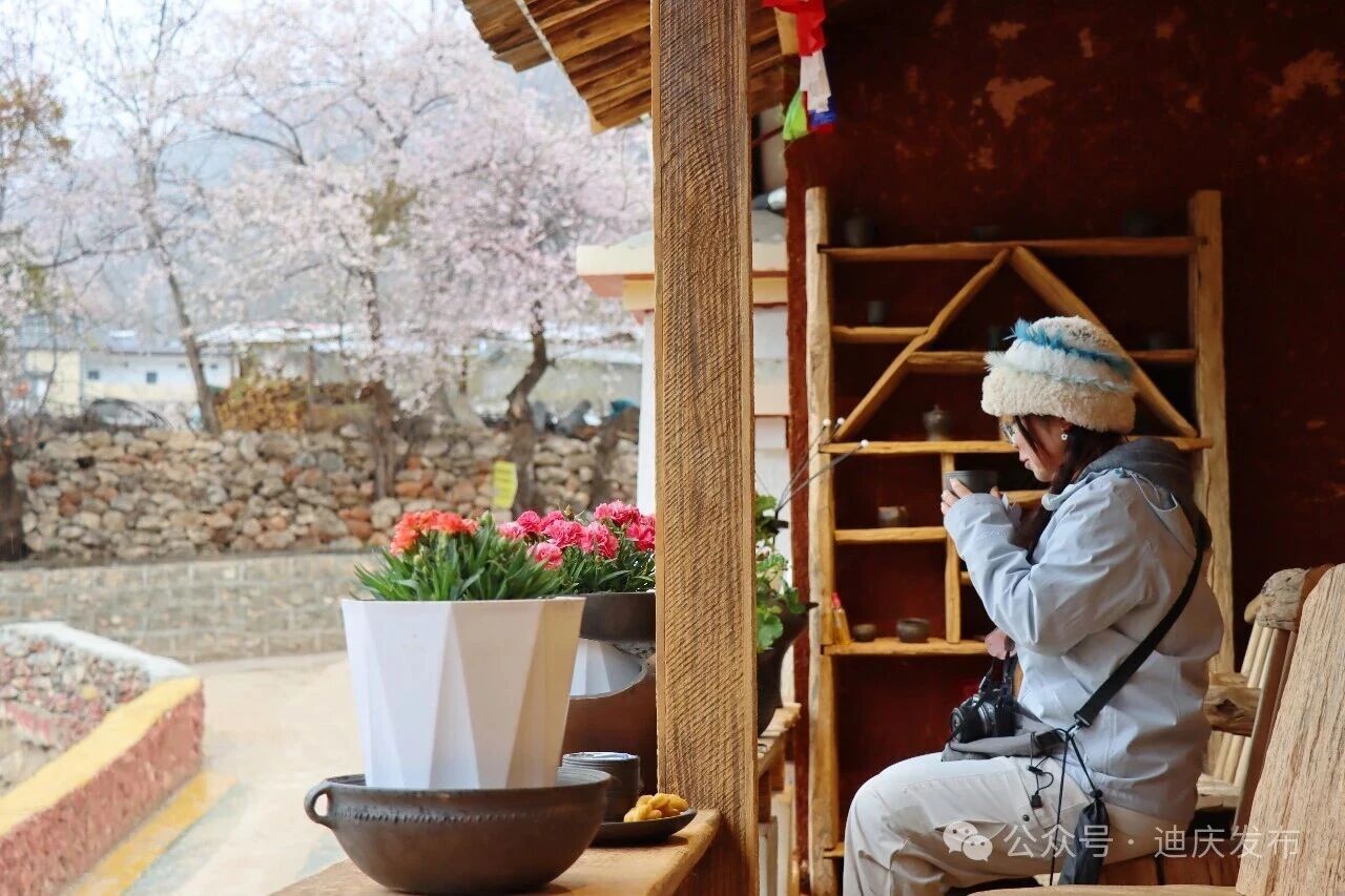 1775533730238036353.jpg 微信图片_2026-04-07_114809_739.jpg