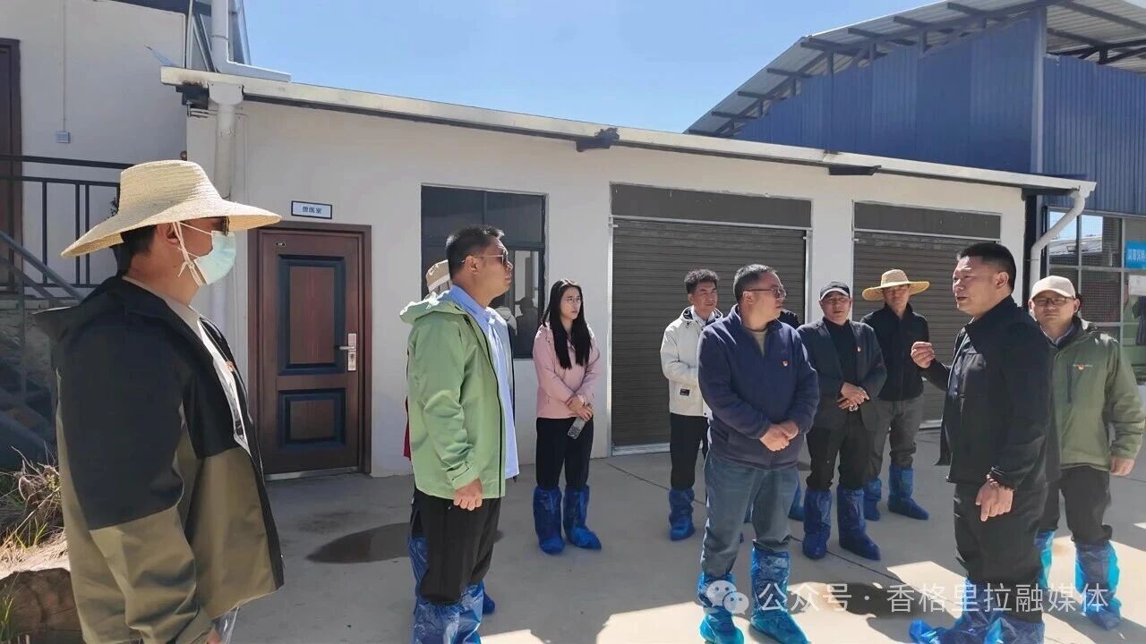 微信图片_2026-05-21_165054_013.jpg111.jpg