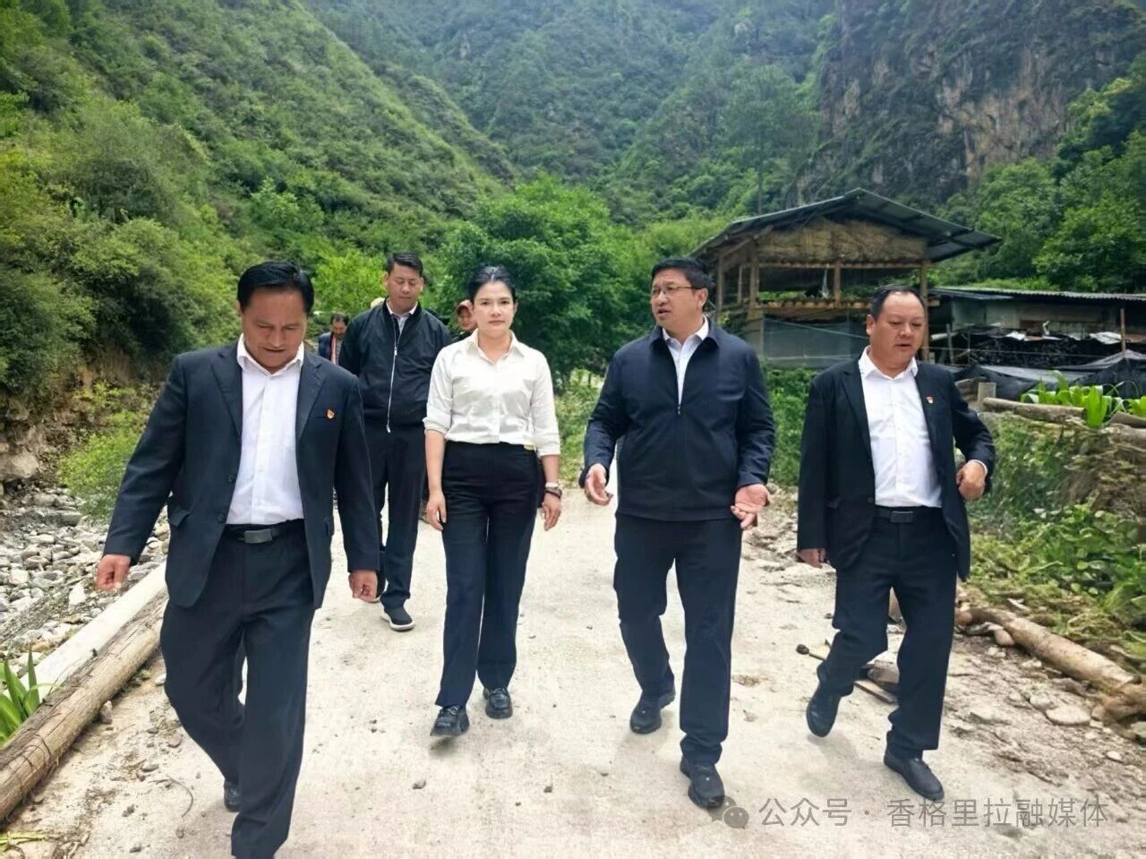 微信图片_2026-06-29_104805_996.jpg