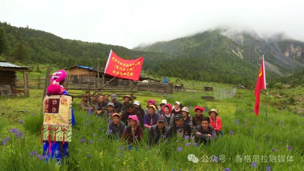 微信图片_2026-07-01_110952_475.jpg