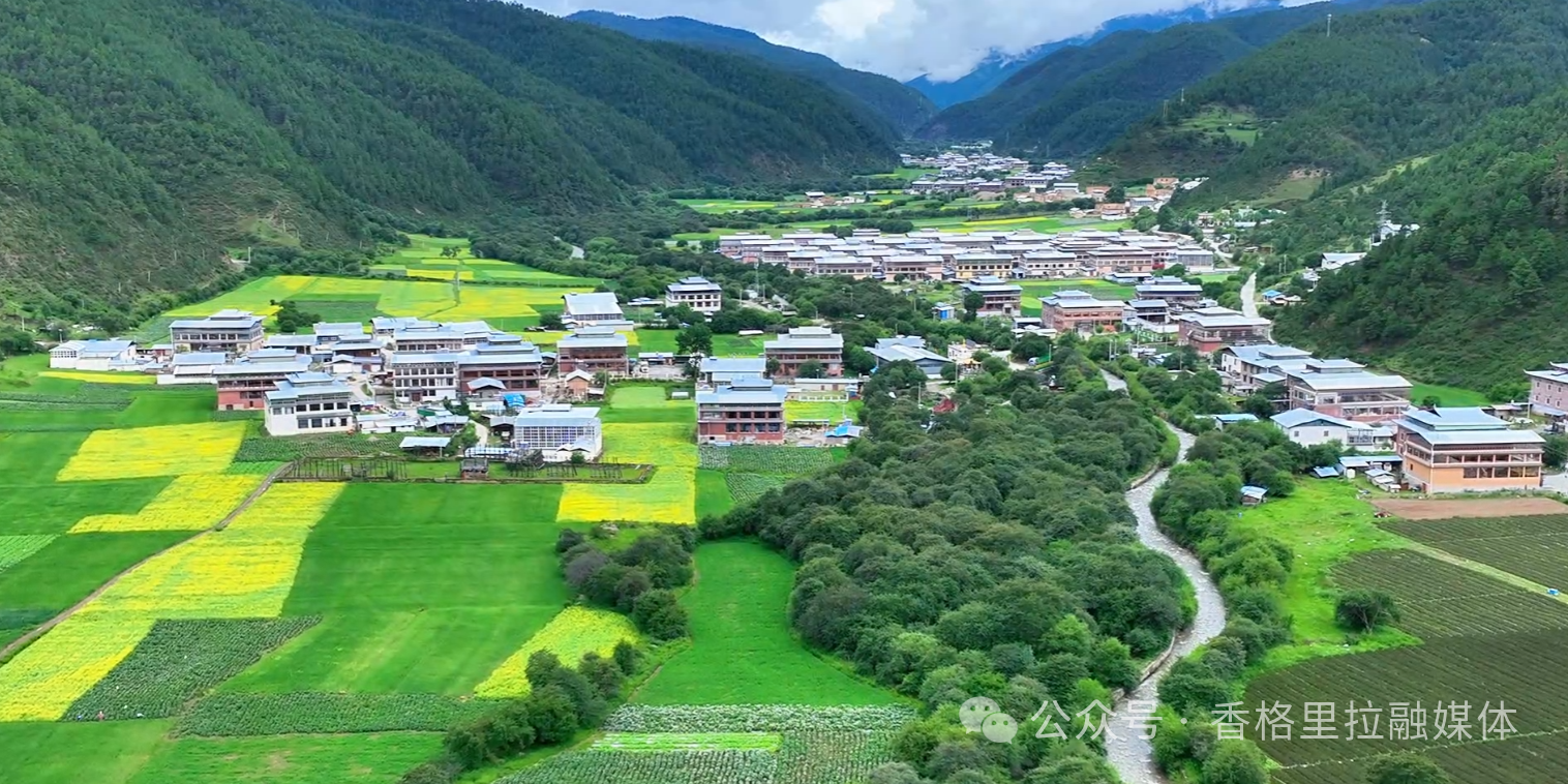 微信图片_2026-07-20_091700_665.png
