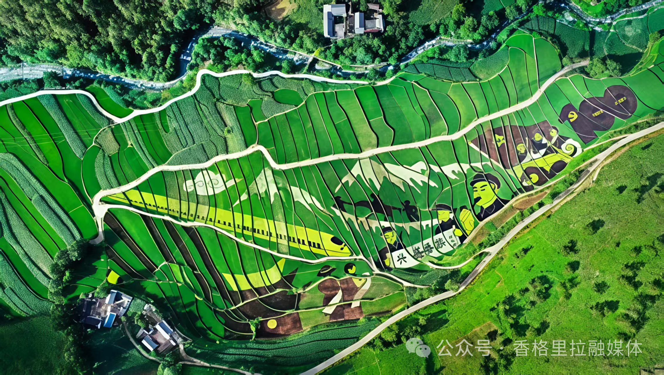 微信图片_2026-08-03_102653_188.png