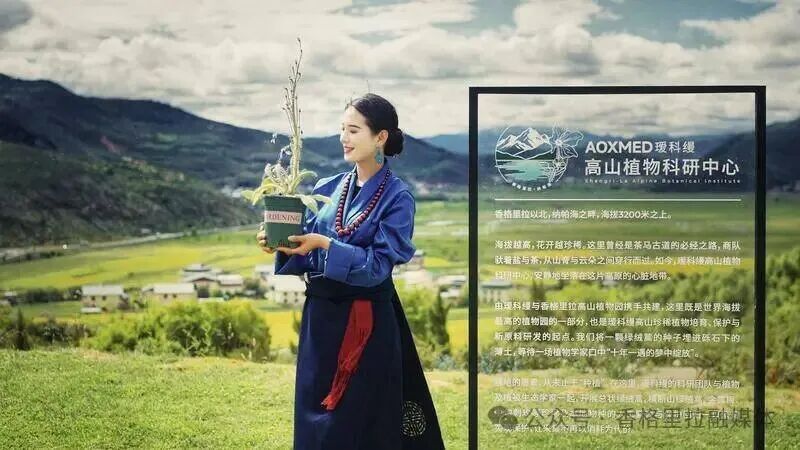 1787015369895056294.jpg 微信图片_2026-08-18_091217_874.jpg
